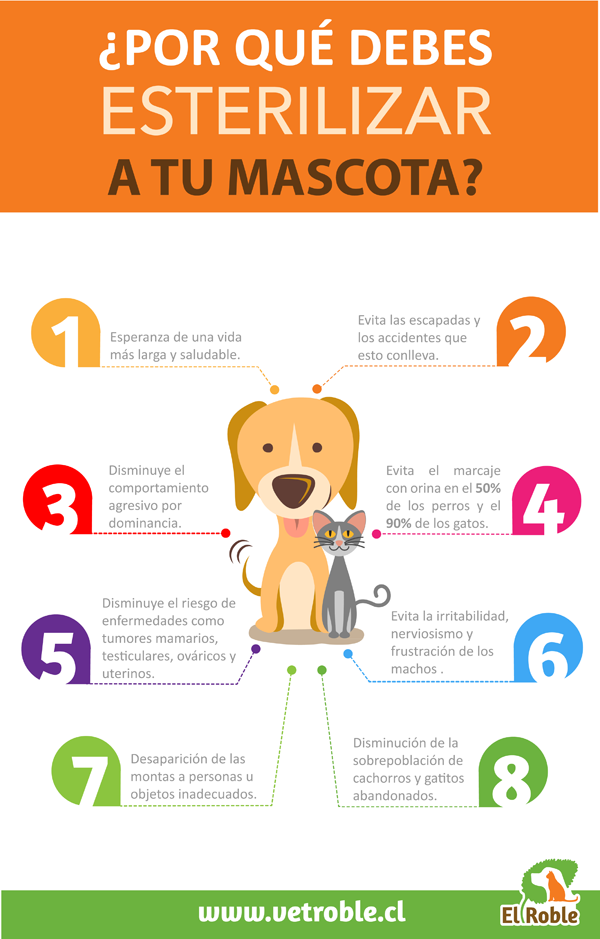 infografia_esterilización